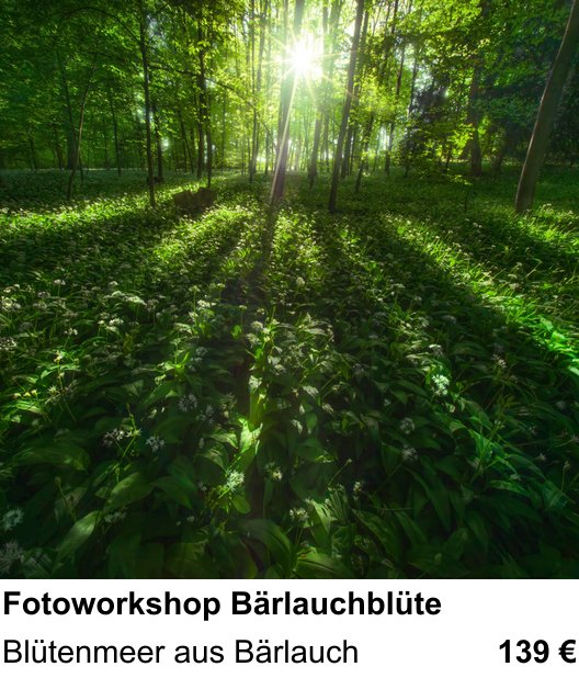 Szenischer Foto-Workshop mit dem Thema Fotoworkshop Bärlauchblüte: Blütenmeer aus Bärlauch