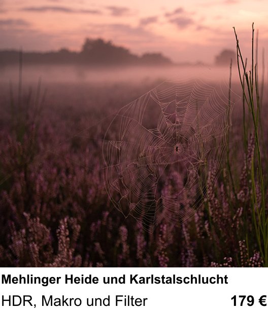 Szenischer Foto-Workshop mit dem Thema Mehlinger Heide und Karlstalschlucht: HDR, Makro und Filter