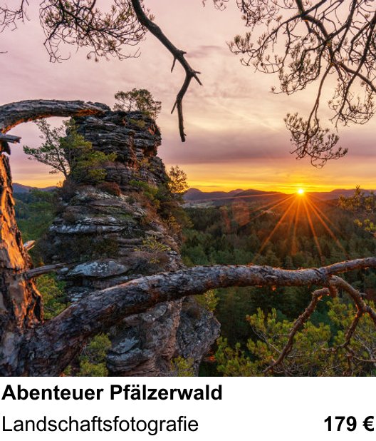 Szenischer Foto-Workshop mit dem Thema Abenteuer Pfälzerwald: Landschaftsfotografie