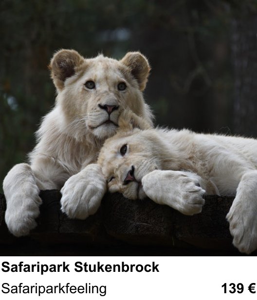 Szenischer Foto-Workshop mit dem Thema Safaripark Stukenbrock: Safariparkfeeling
